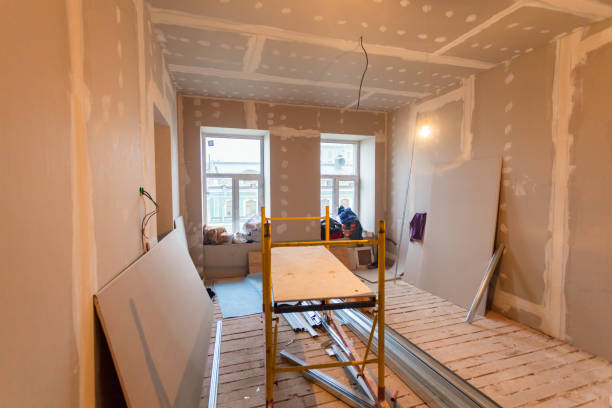 Best Attic Mold Removal  in Vine Grove, KY