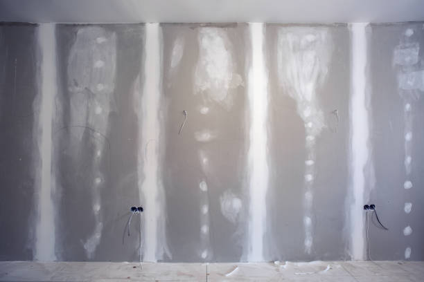 Vine Grove, KY Mold Removal Company